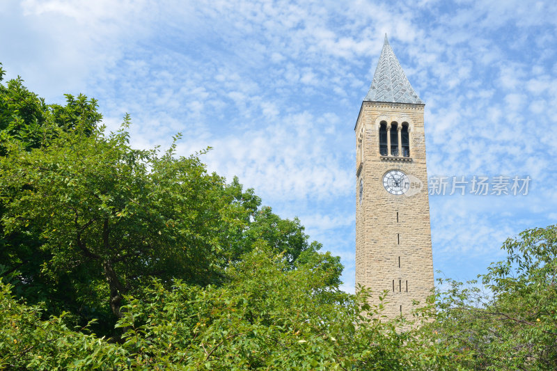康奈尔大学的McGraw Tower